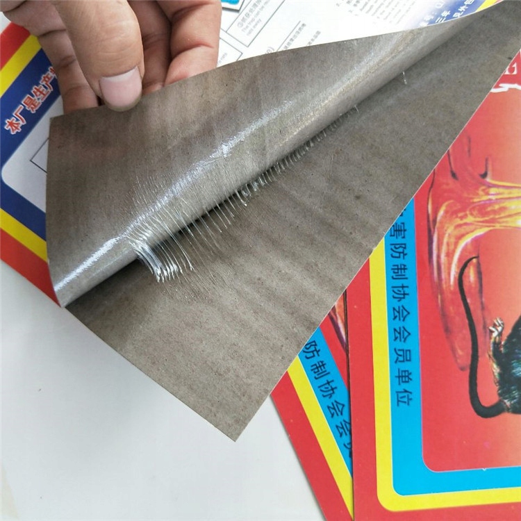 pułapka na myszy zestaw klejący 