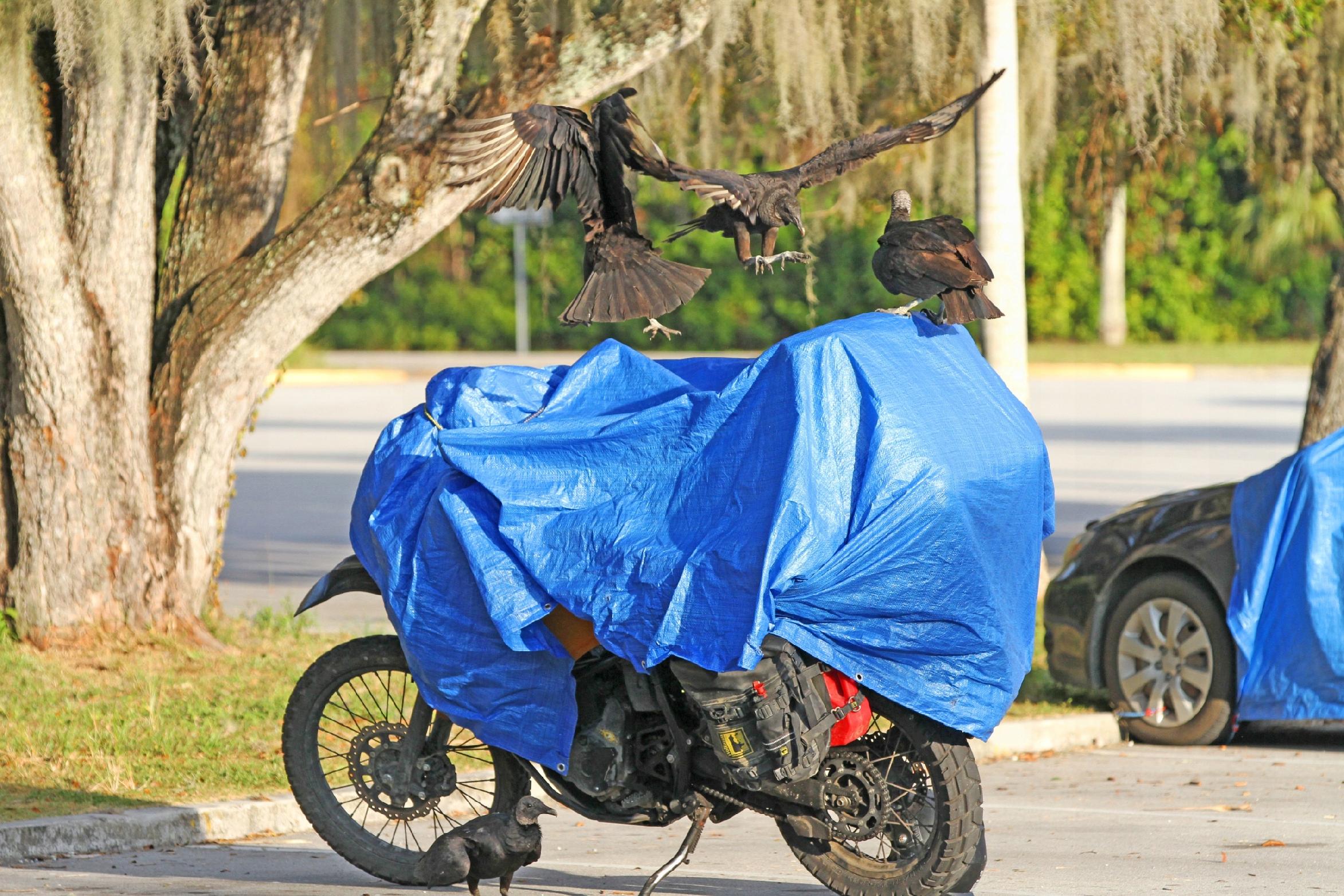 PLANDEKA WODOODPORNA GRUBA OKRYCIE PŁACHTA MROZOODPORNA